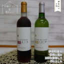 3位! 口コミ数「0件」評価「0」巨峰ワイン・梨ワイン飲み比べセット 国産ワイン 日本のワイン 先行予約受付中