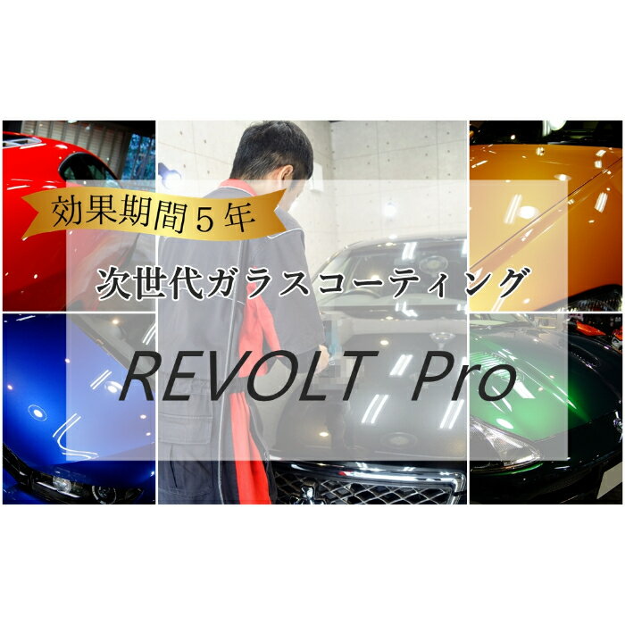 【ふるさと納税】効果が5年持続するカーコーティング施工 ガラ