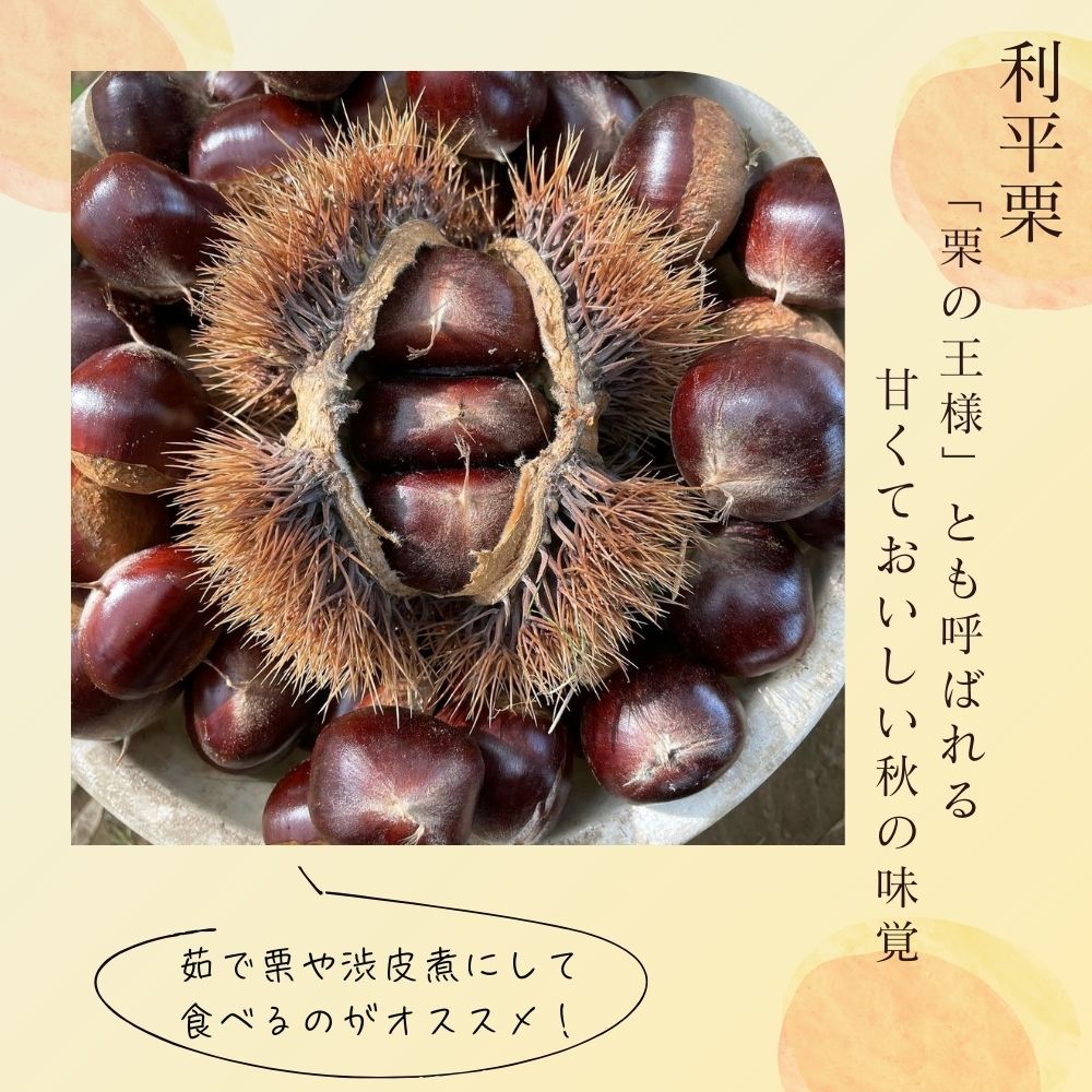 【ふるさと納税】利平栗 1kg 産地直送 生産者直送 生栗 低温熟成 2026年産 埼玉県産 塩崎農園 くり クリ 数量限定