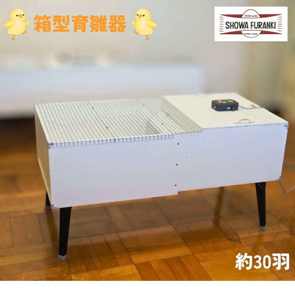 箱型育雛器(30羽) ヒヨコ 保育器 ひよこ 育雛器 育すう器 育雛ボックス 育雛箱 国産 日本製