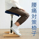 【ふるさと納税】腰痛対策椅子 バランス シナジー（カバー付き）