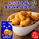 【ふるさと納税】東ハト ソルティキャラメルコーン 67g×12個 スナック菓子 FAA-076