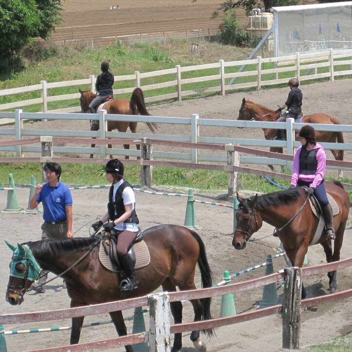 【ふるさと納税】体験乗馬　メンバー体験コース