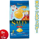 【ふるさと納税】東ハト ソルティバター 8枚×12個 ※着日指定不可 FAA-073(4)