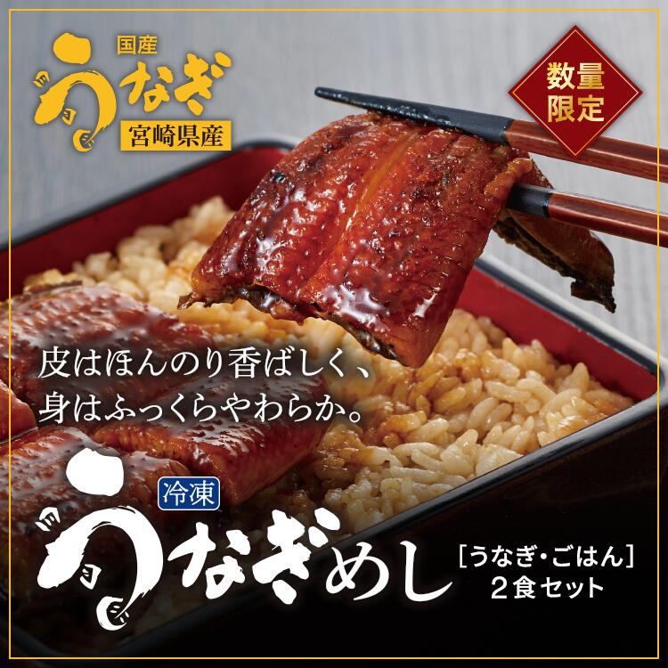 50位! 口コミ数「0件」評価「0」宮崎県産うなぎ使用 冷凍うなぎめし 2食セット※離島への配送不可※着日指定不可