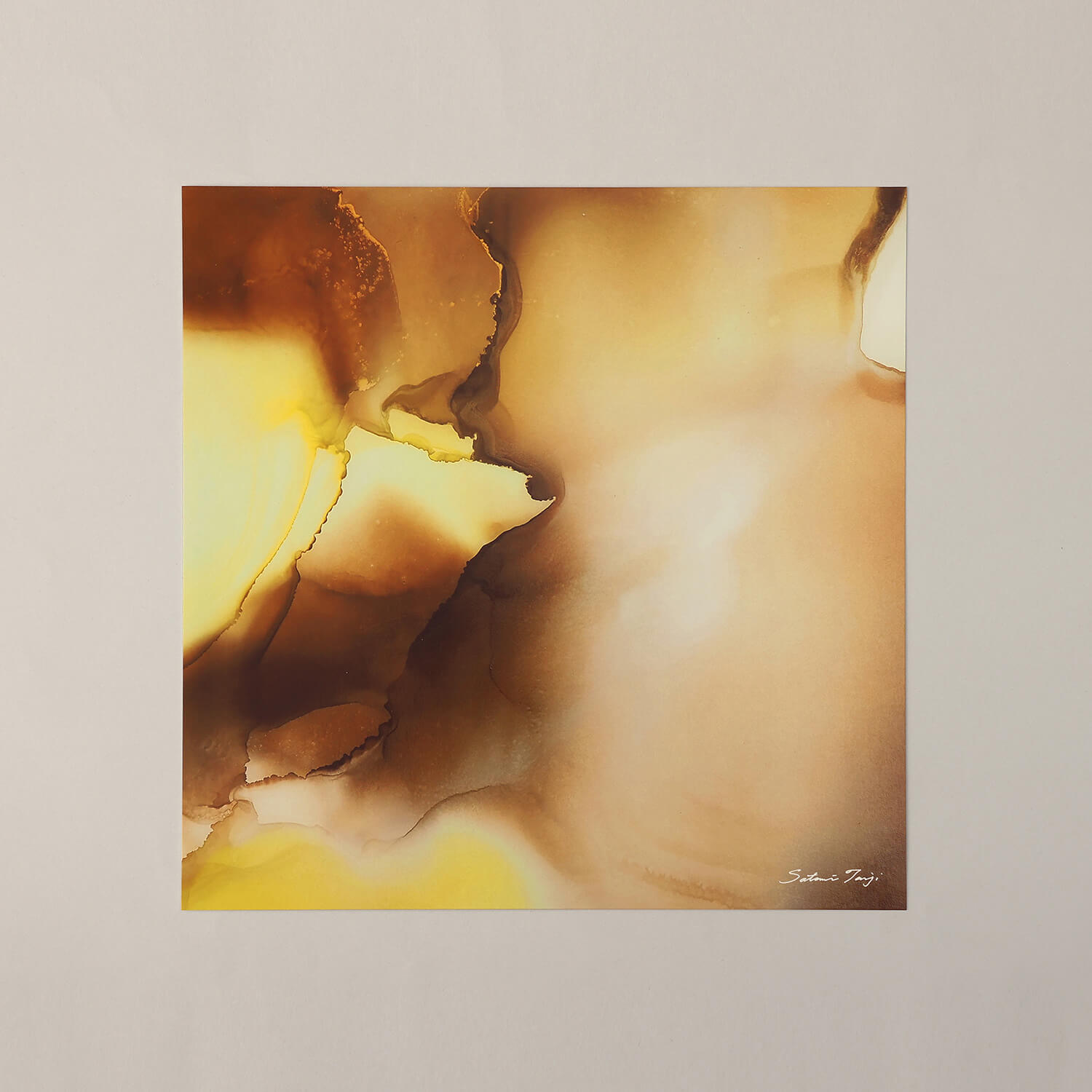 埼玉県毛呂山町の画像2