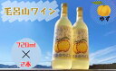 【ゆずのお酒】毛呂山ワイン(ゆず) 720ml×2本セット【ふるさと納税】(4)