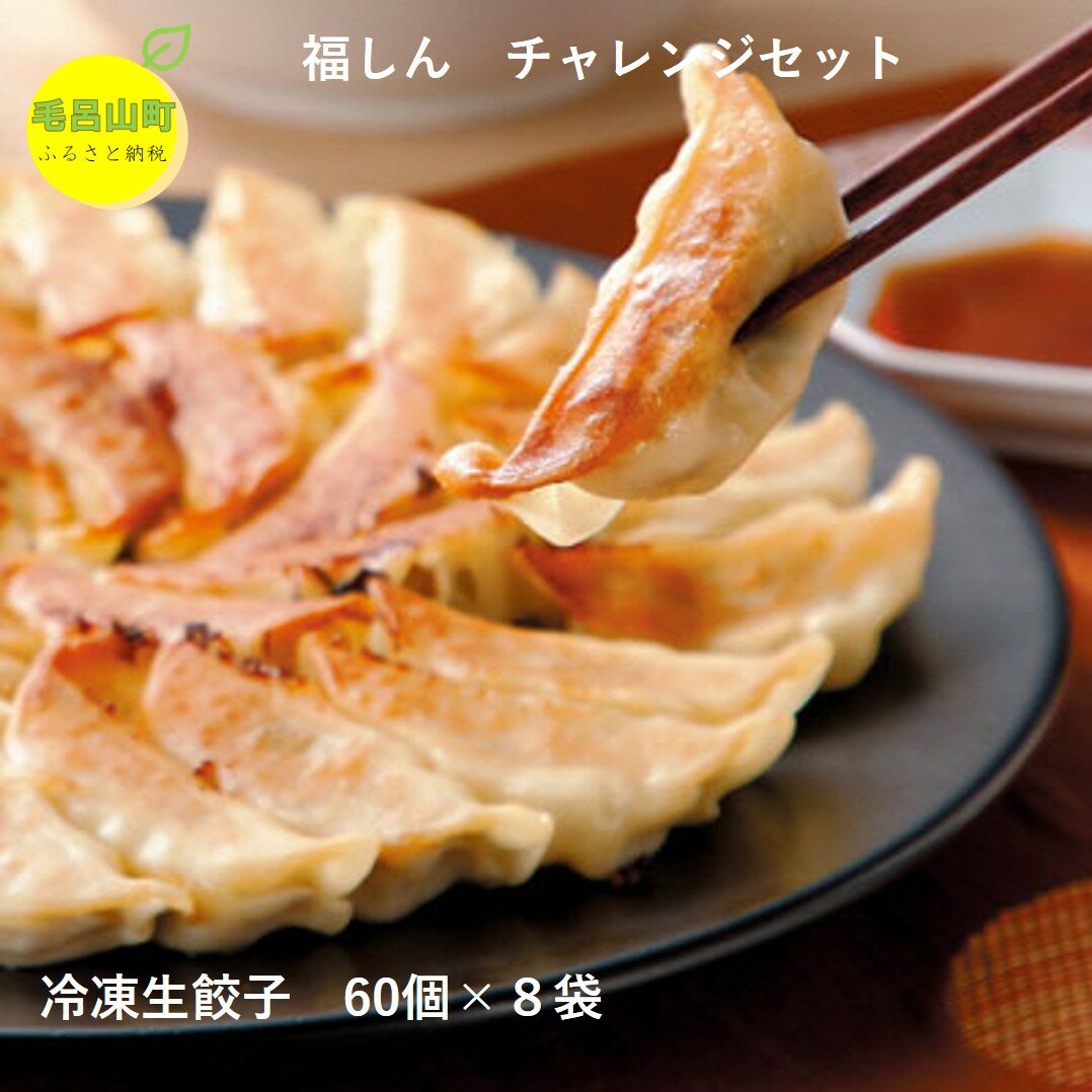 [中華チェーン福しん] おうちで福しん餃子チャレンジセット(餃子480個) 福しん 餃子 ぎょうざ ギョウザ 冷凍餃子 中華 おかず 埼玉県 毛呂山町 ふるさと納税