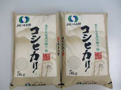 【令和5年産米】埼玉県産 コシヒカリ 10キロ（5キロ×2袋） 埼玉県 毛呂山町 ふるさと納税