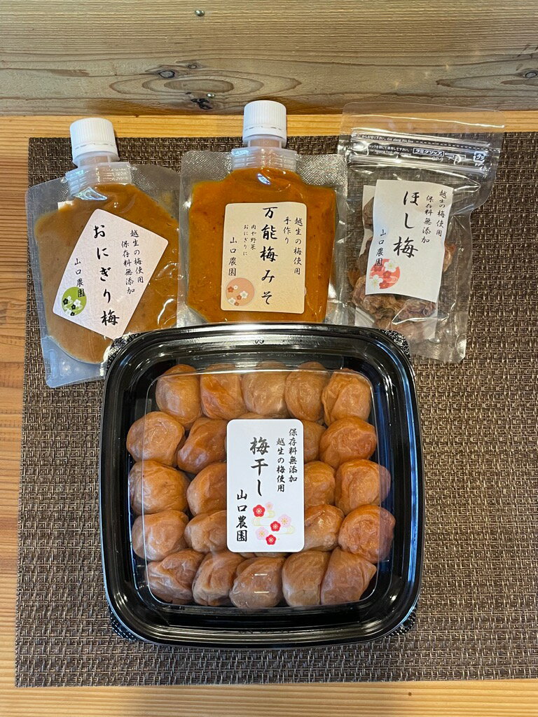 【ふるさと納税】山口農園梅セット