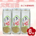 【ふるさと納税】元気百梅 6本入り【1640856】