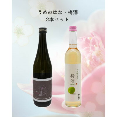 【ふるさと納税】おごせの恵み2本セット【1707800】