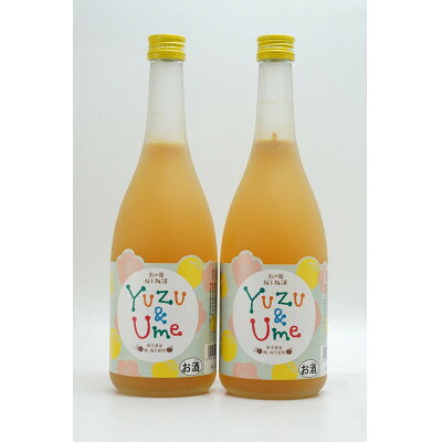 【ふるさと納税】彩の国　柚子梅酒　720ml×2本【1728364】