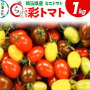 【ふるさと納税】彩トマト 1kg 埼玉県産 ミニトマト