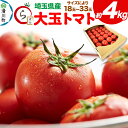 【ふるさと納税】大玉トマト 約4kg(サイズにより18玉~33玉)埼玉県産 トマト