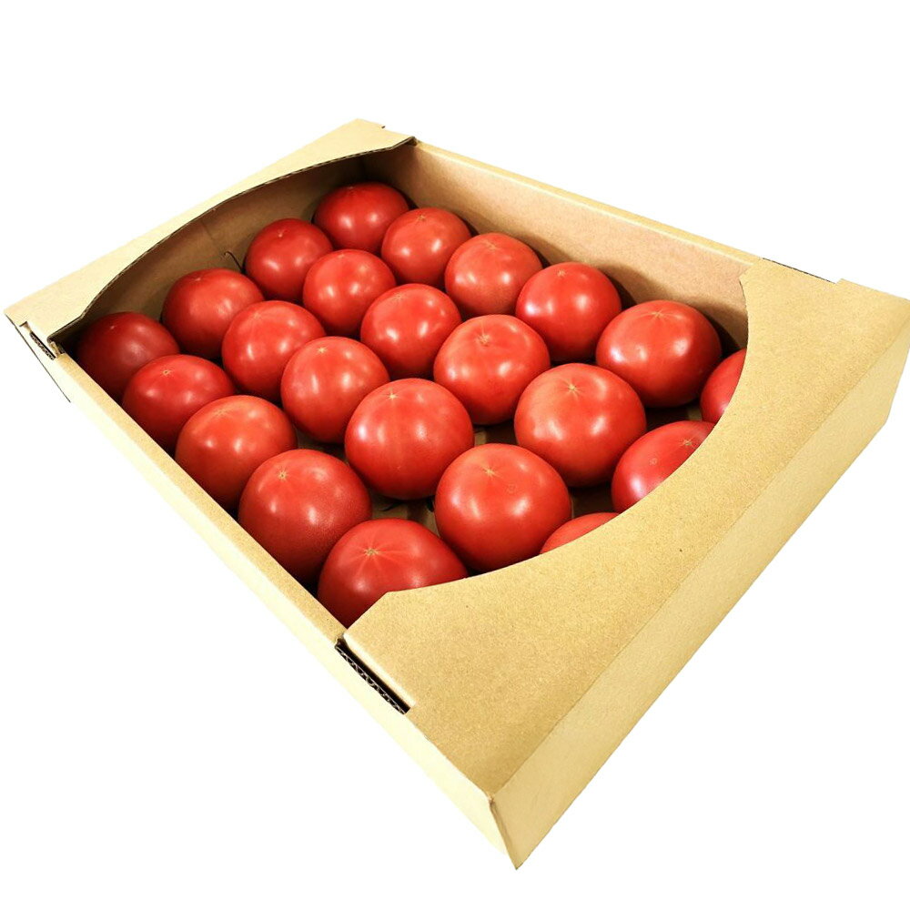 【ふるさと納税】大玉トマト 約4kg（サイズにより18玉〜33玉）埼玉県産 トマト