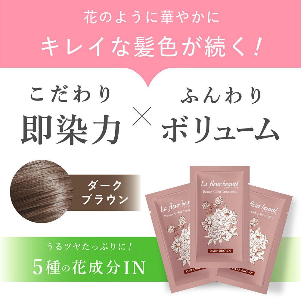 【ふるさと納税】ラフルールカラートリートメントDB 20g×3包 2セット