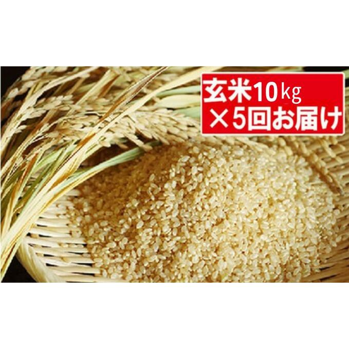 特別栽培米「コシヒカリ」玄米50kg(10kg×5回のお届け) [定期便・お米・コシヒカリ・定期便]