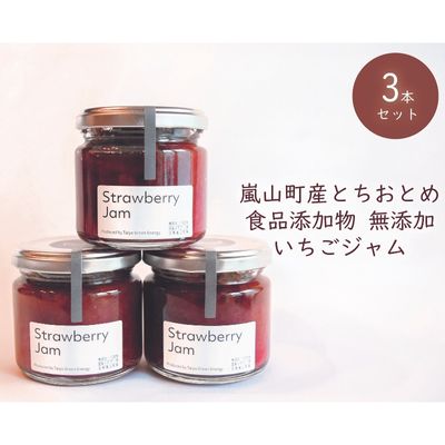 埼玉県嵐山町産いちご使用 特製いちごジャム3本セット [ストロベリー 自社農園 栽培 とちおとめ 無着色 食品添加物 無添加 自慢 果肉 たっぷり 贅沢 トースト ヨーグルト ]