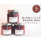 【ふるさと納税】埼玉県嵐山町産いちご使用 特製いちごジャム3本セット　【ストロベリー 自社農園 栽培 とちおとめ 無着色 食品添加物 無添加 自慢 果肉 たっぷり 贅沢 トースト ヨーグルト 】