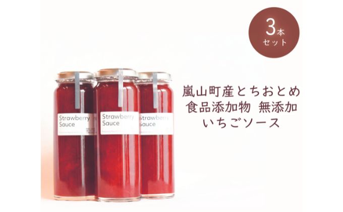 【ふるさと納税】埼玉県嵐山町産いちご使用 特製いちごソース　3本セット　【ストロベリー 自社農園 栽培 とちおとめ 無着色 食品添加物 無添加 自慢 果肉 たっぷり 贅沢 パンケーキ 】