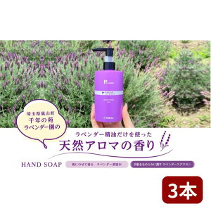 【ふるさと納税】ピーズルーツ【ペリカン石鹸】ラベンダーハンドソープ3本セット ハンドソープ 手洗いせっけん ハンドウォッシュ ラベンダー 日用品 手洗い 石鹸 せっけん ギフト プレゼント 嵐山町