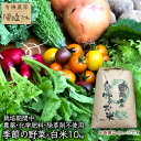 【ふるさと納税】【季節により常温11~3・冷蔵4~10】有機農家の季節の野菜と白米10kgのセット / 風の丘ファーム / 埼玉県 小川町 [ 020 ] 野菜 やさい 米 お米 こめ コメ 精米 白米 セット 詰め…