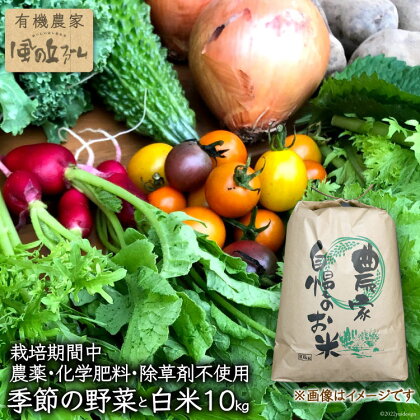 【季節により常温11~3・冷蔵4~10】有機農家の季節の野菜と白米10kgのセット / 風の丘ファーム / 埼玉県 小川町 [ 020 ] 野菜 やさい 米 お米 こめ コメ 精米 白米 セット 詰め合わせ