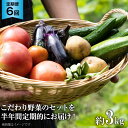 【ふるさと納税】No.137 OGAWA N 野菜セットの定期便 6ヵ月連続 ＜JA埼玉中央＞【埼玉県小川町】