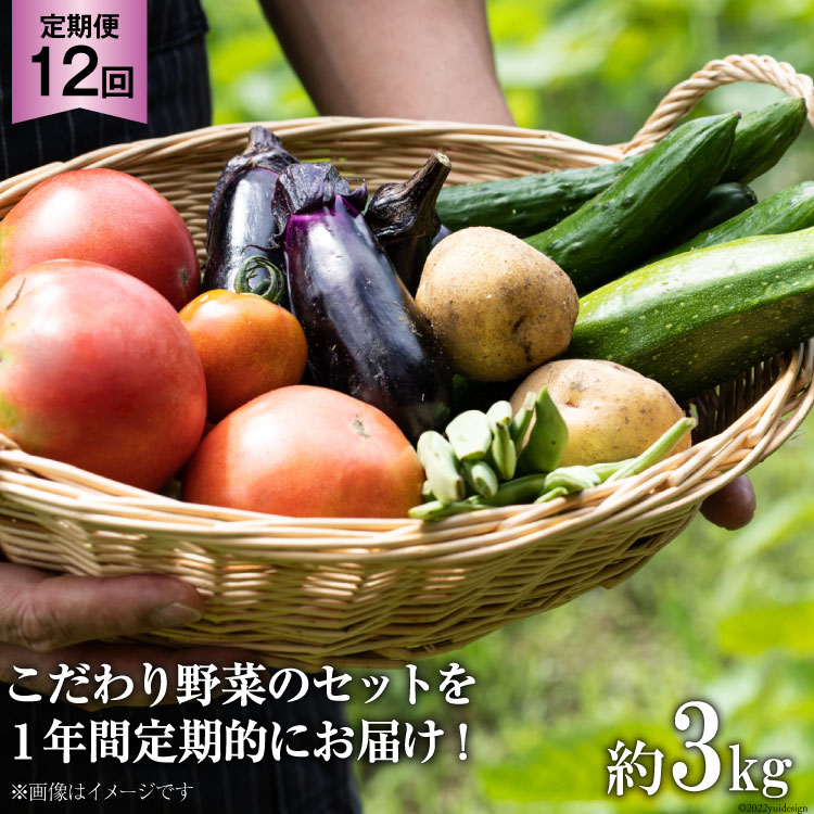 【ふるさと納税】No.138 OGAWAN　野菜セットの定期便（年12回）　＜JA埼玉中央＞【埼玉県小川町】