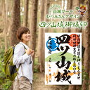 【ふるさと納税】四ツ山城 御城印 1枚 埼玉県指定史跡