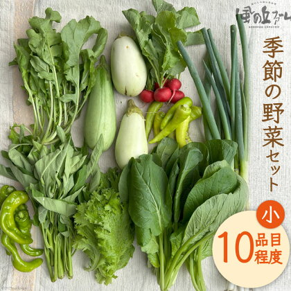 季節の野菜セット小 [ 風の丘ファーム 埼玉県 小川町 205] 野菜 やさい 季節の野菜 野菜セット セット 詰め合わせ 旬 春 夏 秋 冬 季節