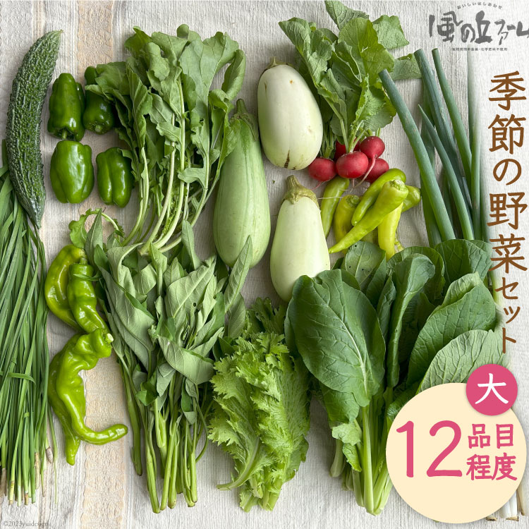 1位! 口コミ数「0件」評価「0」季節の野菜セット大 [ 風の丘ファーム 埼玉県 小川町 206] 野菜 やさい 季節の野菜 野菜セット セット 詰め合わせ 旬 春 夏 秋 ･･･ 