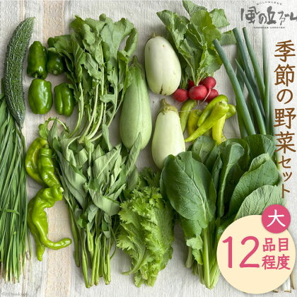 季節の野菜セット大 [ 風の丘ファーム 埼玉県 小川町 206] 野菜 やさい 季節の野菜 野菜セット セット 詰め合わせ 旬 春 夏 秋 冬 季節