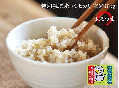 [令和5年産]埼玉県比企郡吉見町産 特別栽培米コシヒカリ 【玄米】 10kg