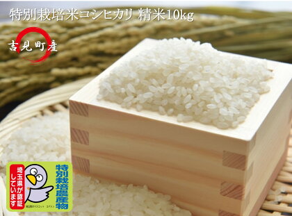 [令和5年産]埼玉県比企郡吉見町産　特別栽培米コシヒカリ 【精米】 10kg
