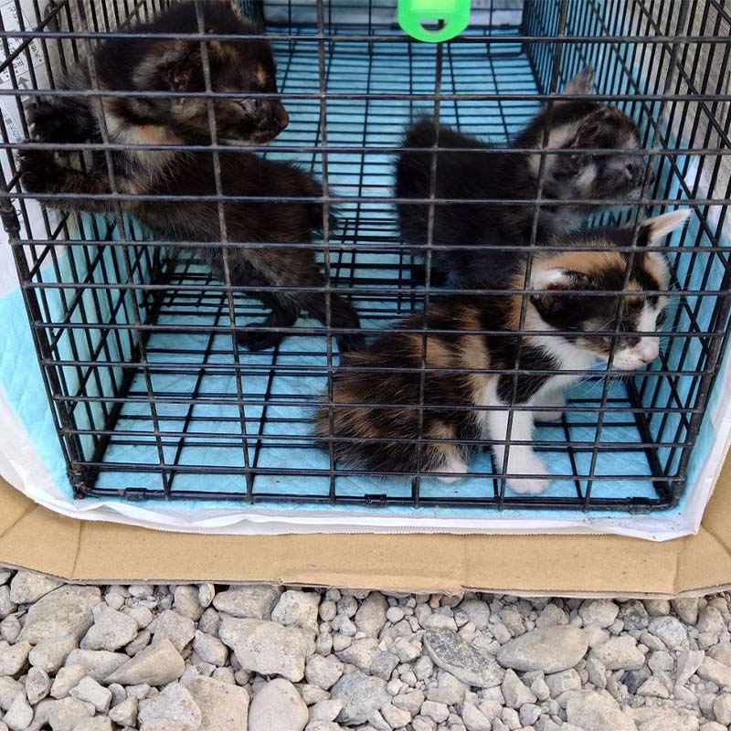 埼玉県吉見町の画像3