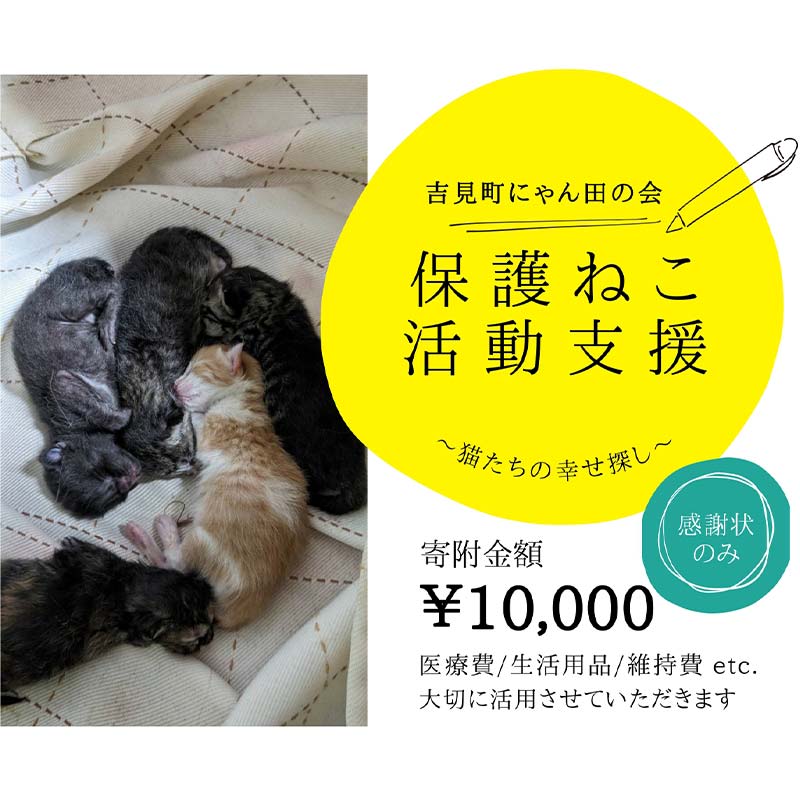 39位! 口コミ数「0件」評価「0」【10,000円】保護猫活動支援～望まれず生まれる命を無くし、行き場を失った猫たちの幸せ探し～