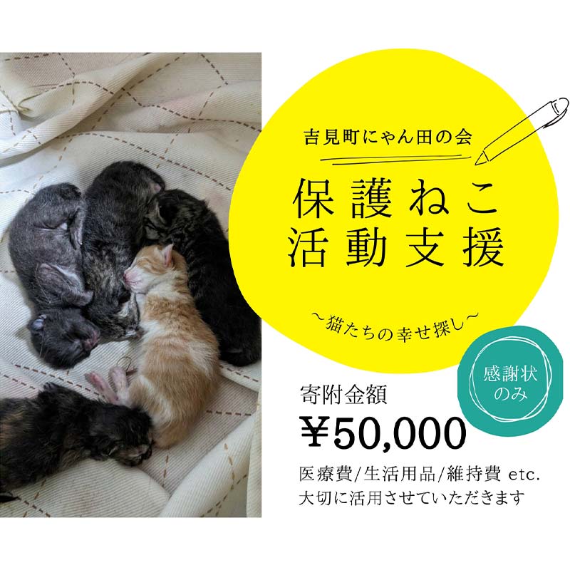 16位! 口コミ数「0件」評価「0」【50,000円】保護猫活動支援～望まれず生まれる命を無くし、行き場を失った猫たちの幸せ探し～