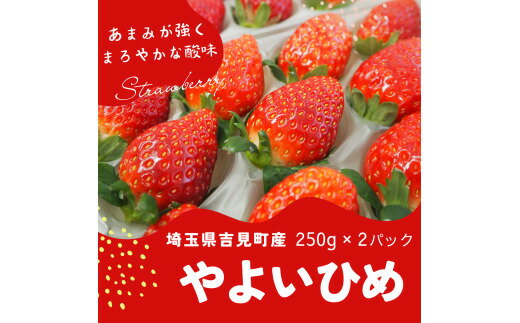 特選「吉見いちご」[やよいひめ]