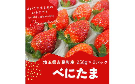 製品説明 名称 特選「吉見いちご」【べにたま】 寄附額 22,000円 協力事業者 吉見いちご販路拡大研究部会 容量 1パック250g以上×2パック　（1パック8粒または11粒） 消費期限 到着後2～3日 発送時期 2026年1月より順次発...