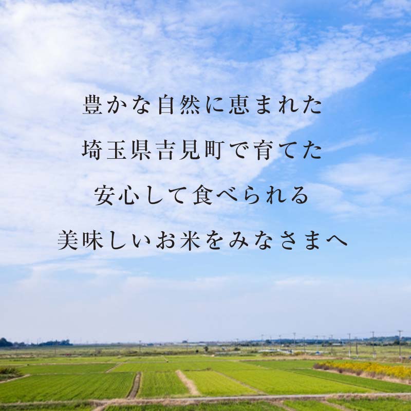 埼玉県吉見町の画像2