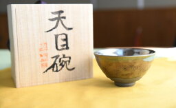 【ふるさと納税】曜変天目茶碗（請関天目）