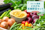 【ふるさと納税】ひとつぶ農園「ときがわ有機野菜セット」