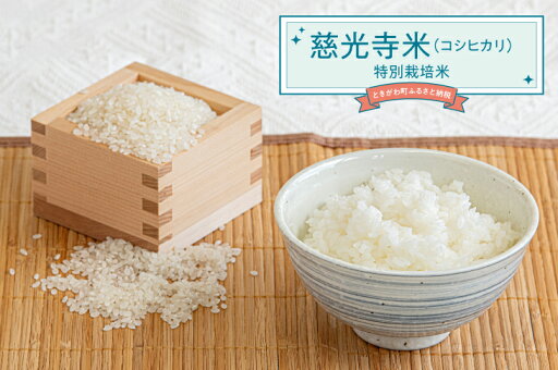 【ふるさと納税】慈光寺米(コシヒカリ)6kg 【ふるさと納税】慈光寺米(コシヒカリ)6kg