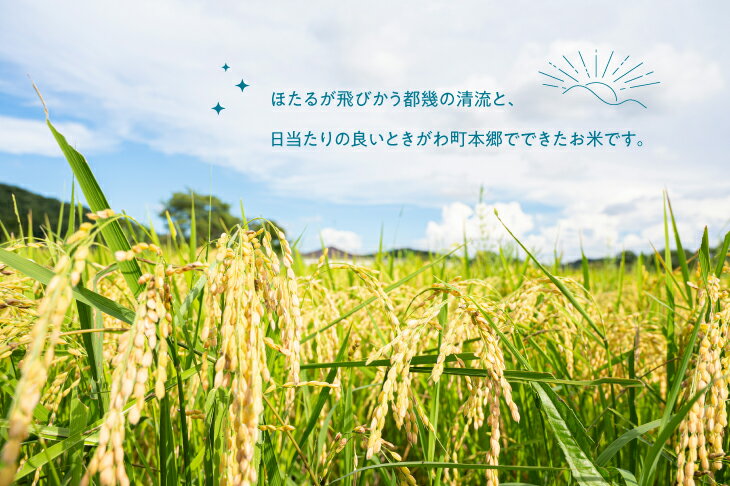 美食ファクトリー 蔵出し卵がけ醤油と美味しい米ギフト (コシヒカリ・ゆめぴりか・飛騨高山蔵出し卵がけ醤油・昆布使用とろろ昆布) 22534006 ギフト お歳暮 お中元 お祝い 見舞い | 関連単語 寒中見舞い 余寒見舞い 挨拶 熨斗 お礼 のし 祝い お年賀 御歳暮 御中元