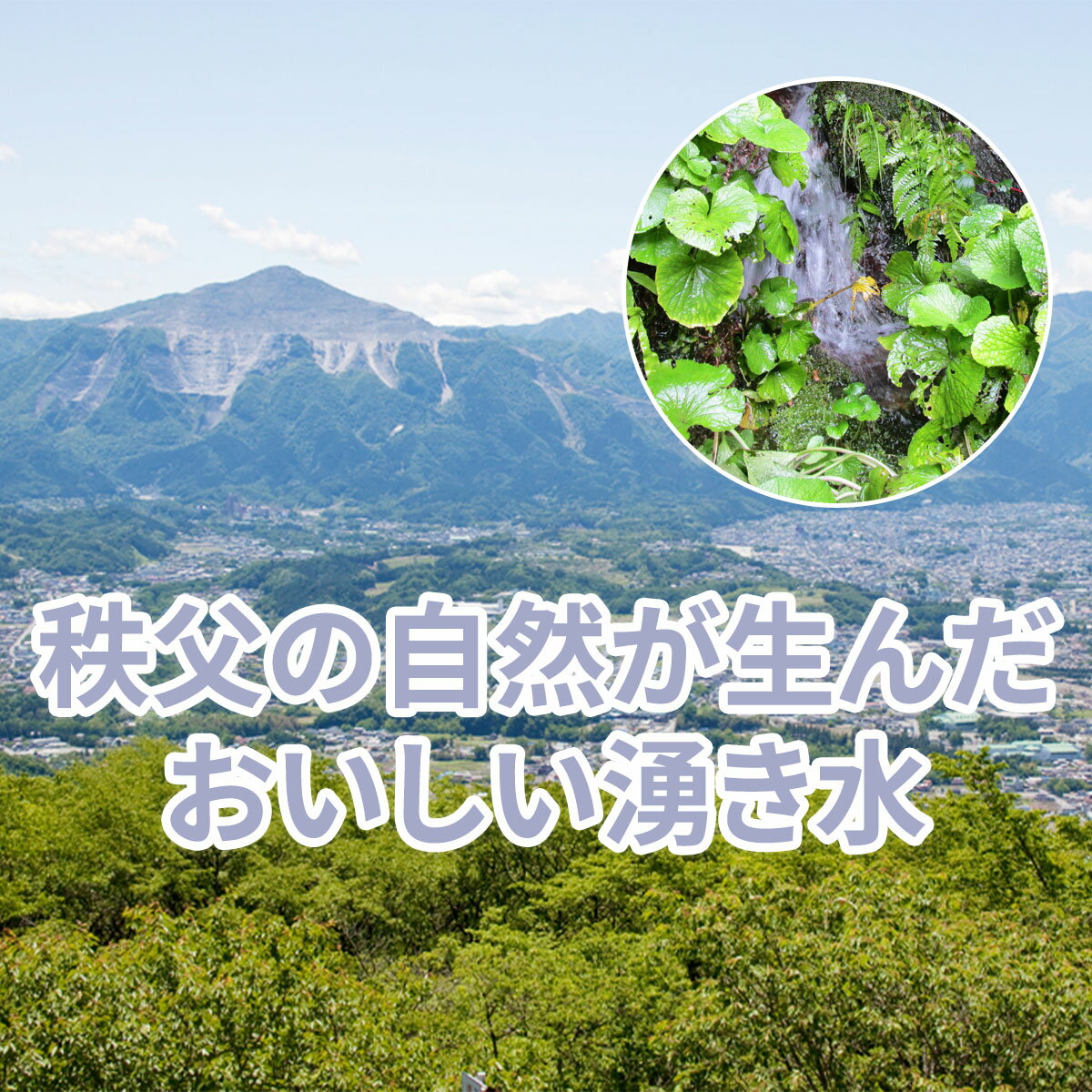 【ふるさと納税】5年保存水 4人家族で3日分の備蓄量 2L×20本(40L × 2箱) 保管しやすい2リットルのペットボトル