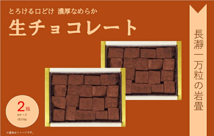 【ふるさと納税】生チョコレート「長瀞一万坪の岩畳」Mサイズ（約133g×2箱入り）