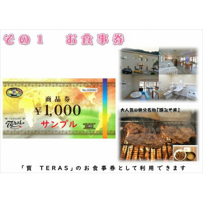 【ふるさと納税】秩父名物料理店「寳　TERAS」商品券3,000円分【お食事・お土産品・体験】にも利用できます【1203002】