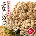 【ふるさと納税】ぶなしめじ 2kg【配送不可地域:離島・北海道・沖縄県・中国・四国・九州】【1296449】